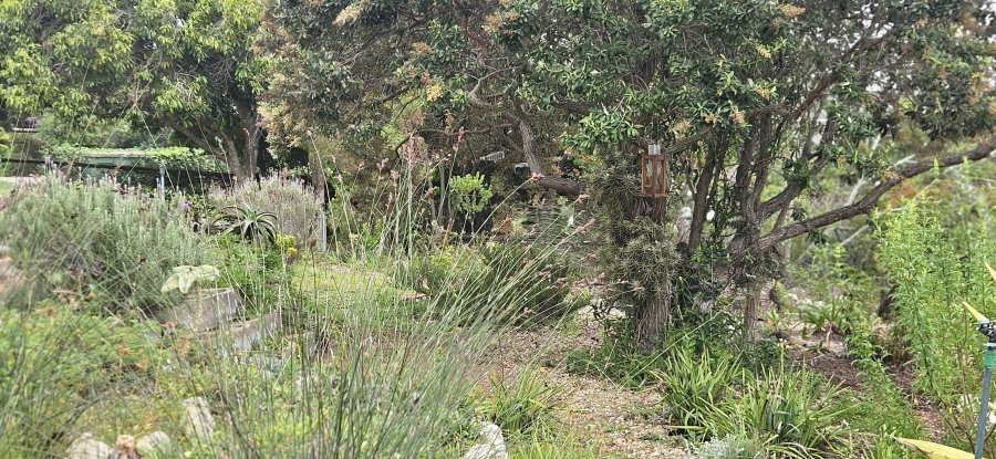 2 Bedroom Property for Sale in Stilbaai Wes Western Cape